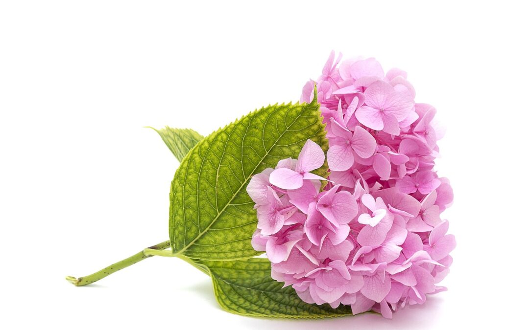 Obilježimo važne datume u ožujku